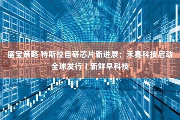 盛宝策略 特斯拉自研芯片新进展；禾赛科技启动全球发行丨新鲜早科技