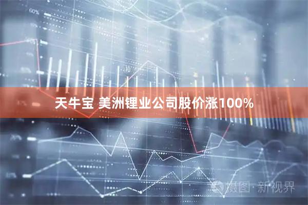 天牛宝 美洲锂业公司股价涨100%