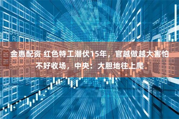 金惠配资 红色特工潜伏15年，官越做越大害怕不好收场，中央：大胆地往上爬